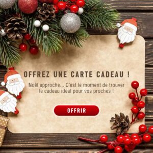 carte cadeau hotel des abers